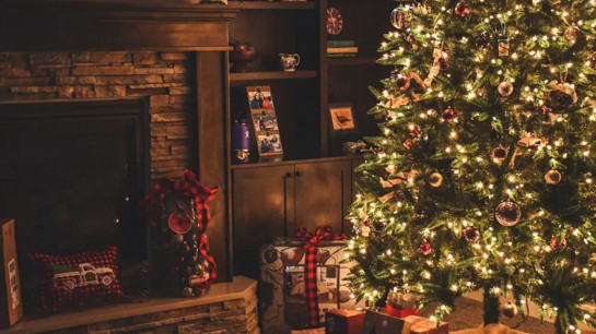 O ponto central da decoração de final de ano: a árvore de Natal.
